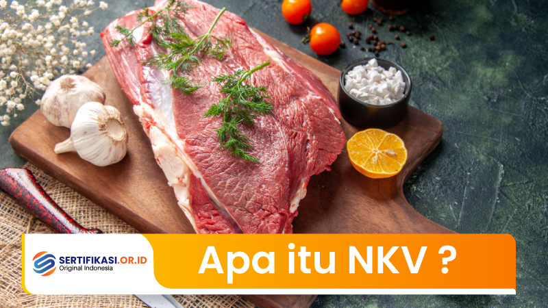 Apa itu NKV ?